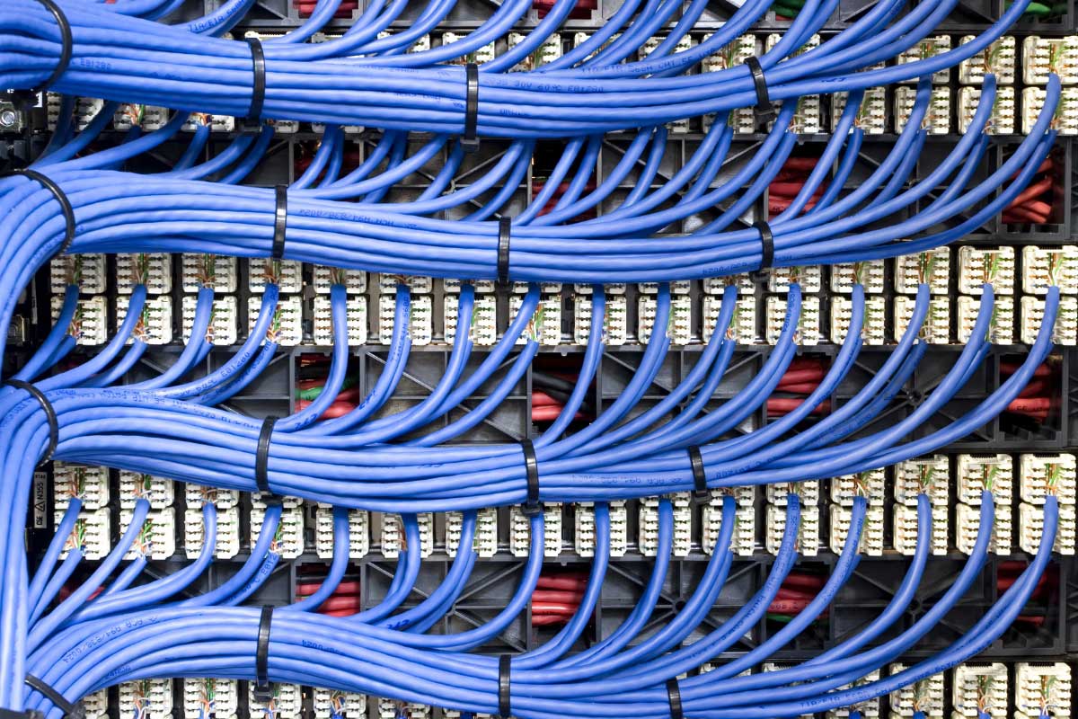 Close-up of network cabling and patch panels representing physical infrastructure discovery
